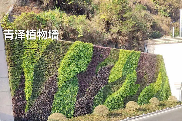 成活率展示